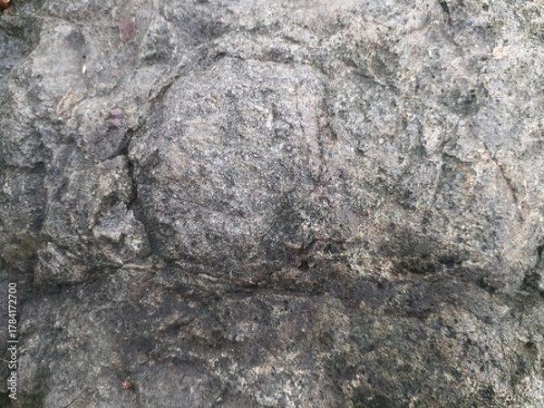 Fototapeta Stone texture background nature grey theme