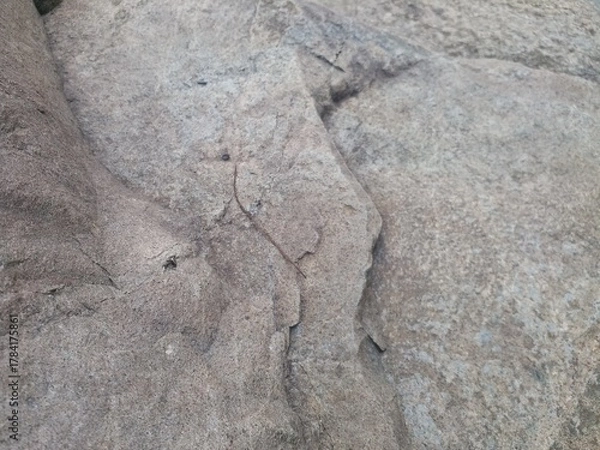 Fototapeta Stone texture background nature grey theme