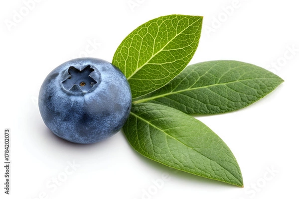 Fototapeta blueberries on white background