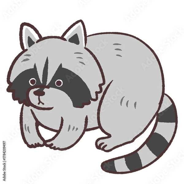 Fototapeta 可愛いアライグマのイラスト