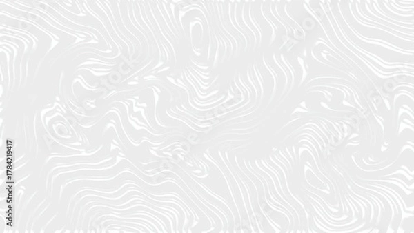 Fototapeta White abstract topographic wavy line texture background