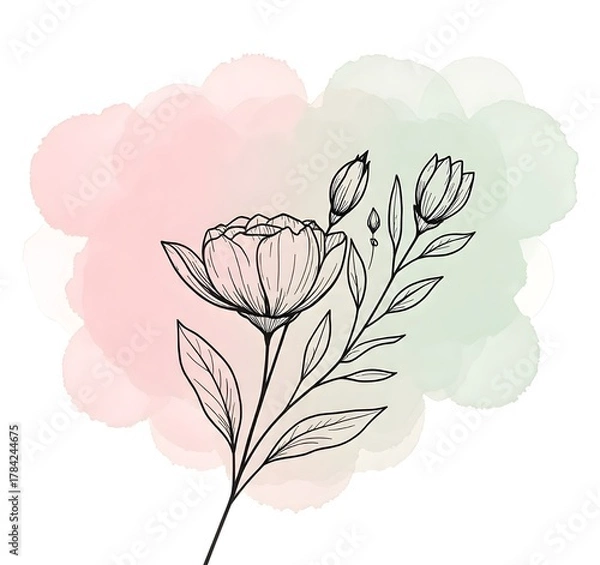 Fototapeta “Delicate floral line art with soft pink and green watercolor background, creating an elegant and minimal botanical aesthetic.”