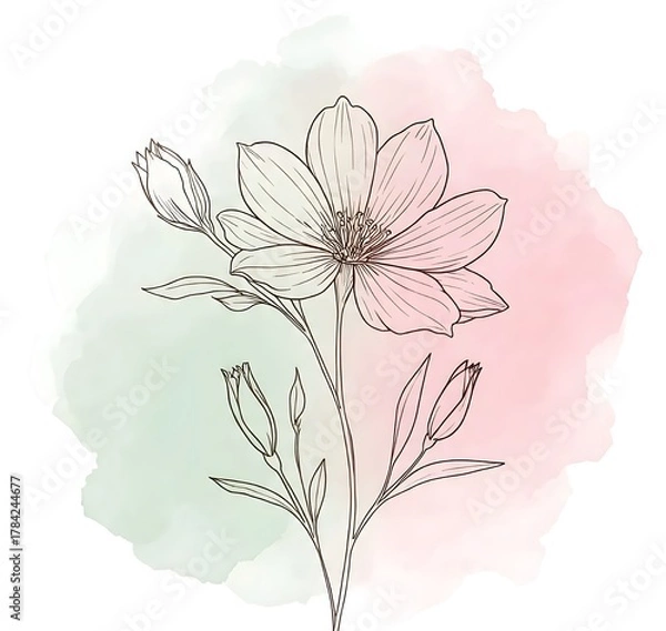 Obraz “Delicate floral line art with soft pink and green watercolor background, creating an elegant and minimal botanical aesthetic.”