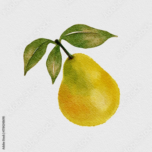 Obraz pear with leaves