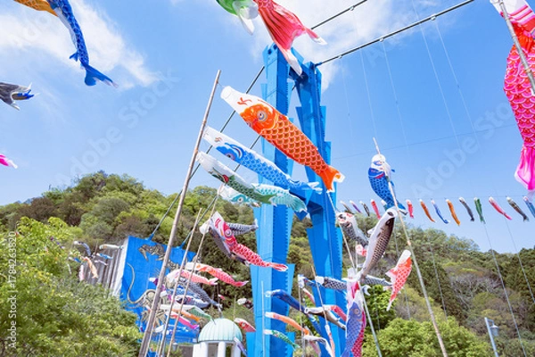 Obraz 茨城　鯉のぼりと竜神大吊橋