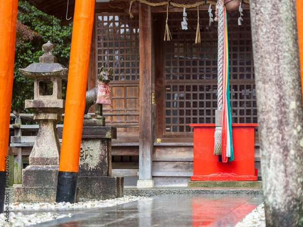 Fototapeta 雨に濡れた稲荷神社の参道