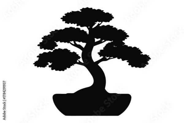Obraz Black bonsai tree silhouette,  Bonsai tree vector illustration