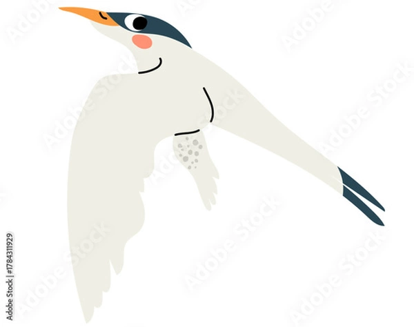 Fototapeta Cartoon vector illustration of a capuchin gull character isolated on white background. Clip art for coastal wildlife design, bird education and character creation