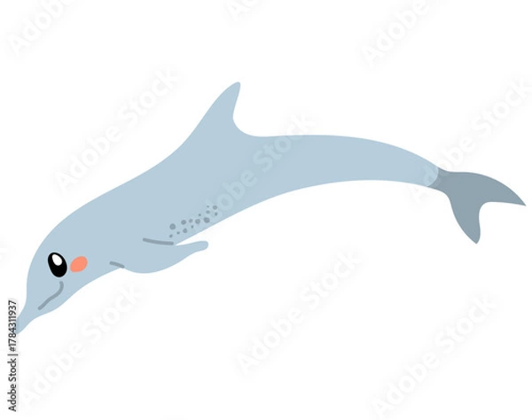 Fototapeta Cartoon vector illustration of a dolphin capuchin gull hybrid character isolated on white background. Clip art concept for fantasy marine animals, creative art and children’s projects