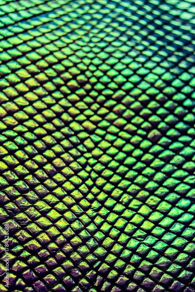 Obraz Snake skin texture. Holographic texture.