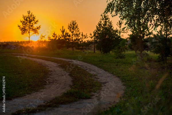 Obraz sunset in field