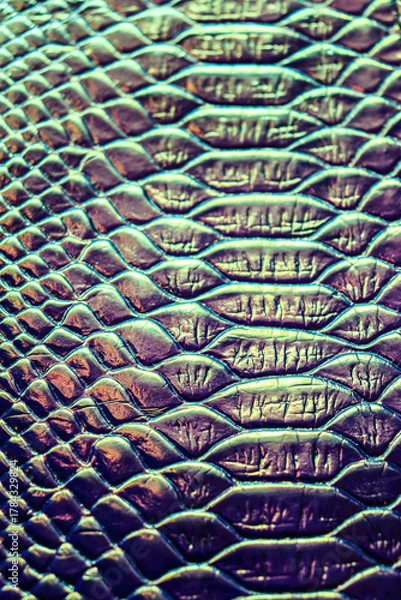 Obraz Snake skin texture. Holographic texture.