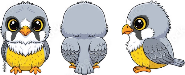 Fototapeta Cartoon bird character design in front, side, back views, animation turnaround concept, cad drawing flat vector illustration