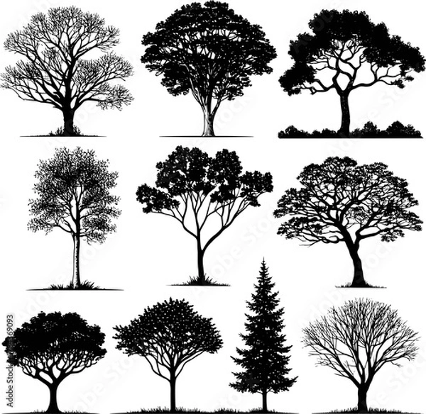 Fototapeta Black vector silhouette set of deciduous and coniferous trees, branches, and leaves for nature park illustration