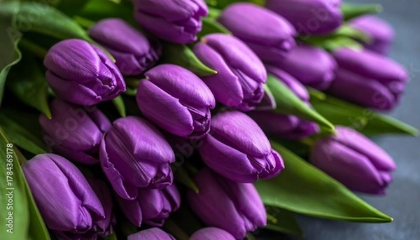 Fototapeta A close-up shot of a vibrant bouquet of purple flowers. The tightly closed blooms offer a hint of the beauty within