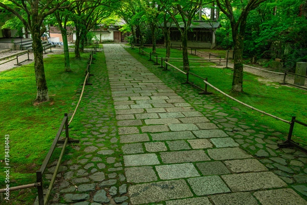 Fototapeta 呑山観音寺の参道