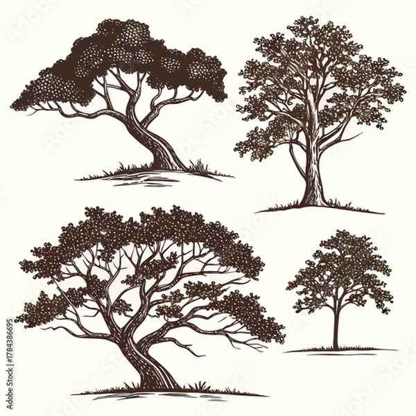 Fototapeta Four stylized brown trees with textured foliage nature