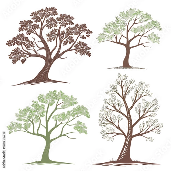 Fototapeta Four stylized trees in brown and green vector art nature 1