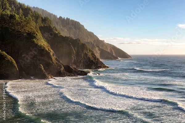 Obraz View from the Heceta Head lighthouse overlooking scenic Cape Cove on the Oregon pacific coast line.