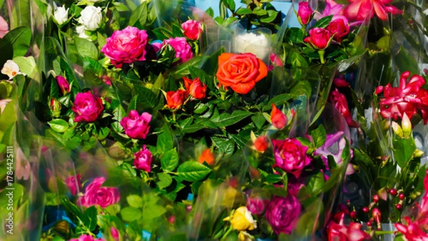 Obraz Colorful Garden Flowers in Pots