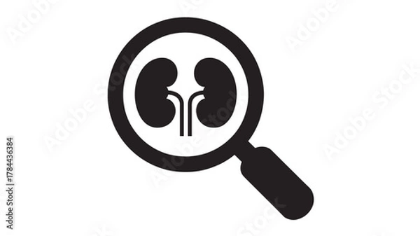 Fototapeta Kidney under magnifying glass icon vector illustration for medical research isolated on white background