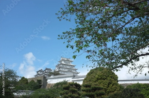 Obraz 【兵庫】姫路城天守