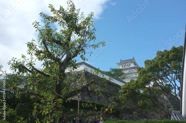 Obraz 【兵庫】姫路城天守