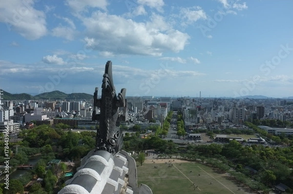 Obraz 【兵庫】姫路城天守の中から見た鯱