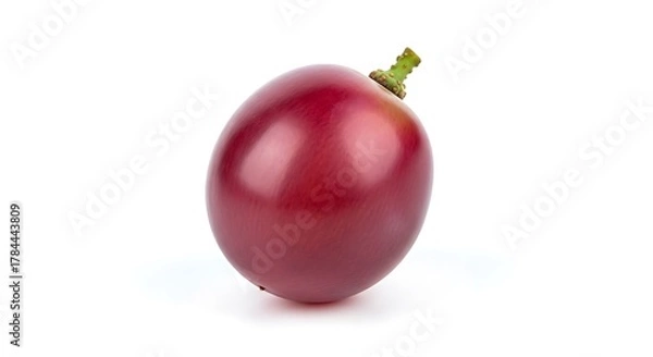 Obraz Single Red Grape with Stem Isolated on White Background.