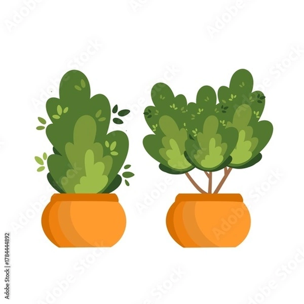 Obraz vector illustration of a plant