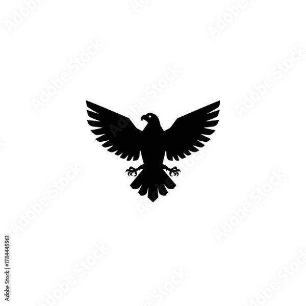 Obraz Soaring eagle silhouette black bird against white background for design
