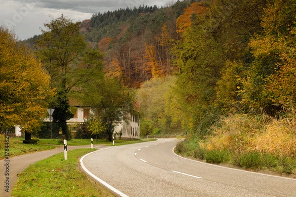 Obraz a cloudy autumn morning in the Pfälzerwald
