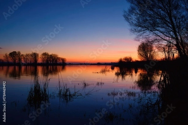 Obraz Serene waters reflect a vivid sunset with silhouettes of trees along the horizon
