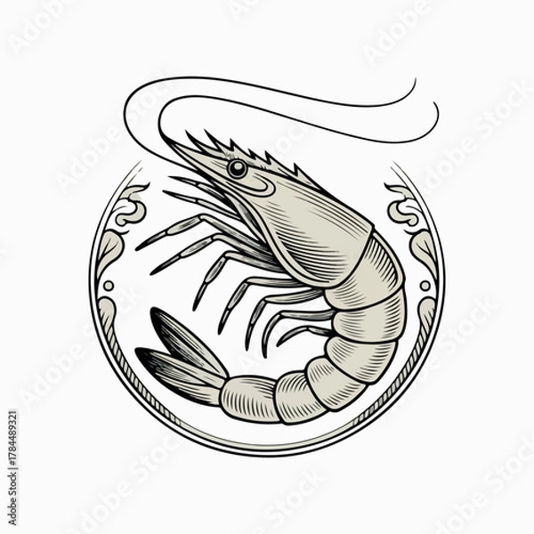 Fototapeta Sea shrimp vector illustration in sketch style