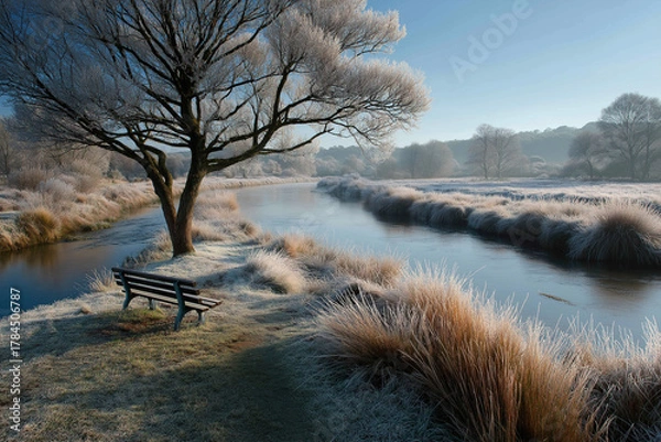 Obraz Winter Frost on the Riverbank: Tranquil Morning by Frosted Trees and a Quiet Bench
