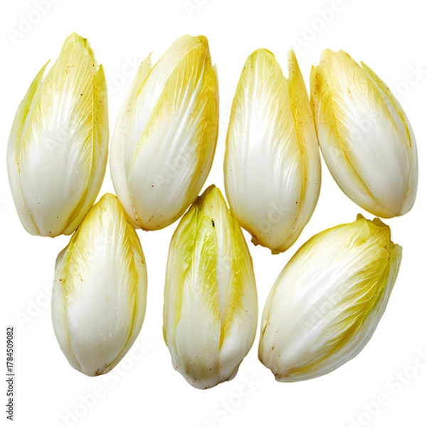 Fototapeta Chicoree isolated on transparent background