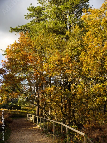 Fototapeta A view over the suburbs of the city of Birmingham Worcestershire West Midlands England UK