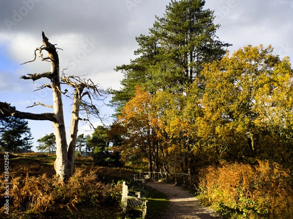 Fototapeta A view over the suburbs of the city of Birmingham Worcestershire West Midlands England UK