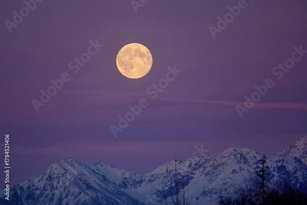 Fototapeta The full moon rises over Alaska's snowy Talkeetna Range at sunset.