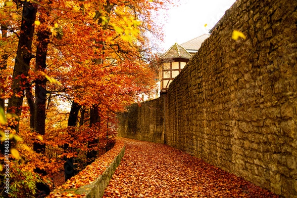 Obraz historic bad neustadt an der saale in germany