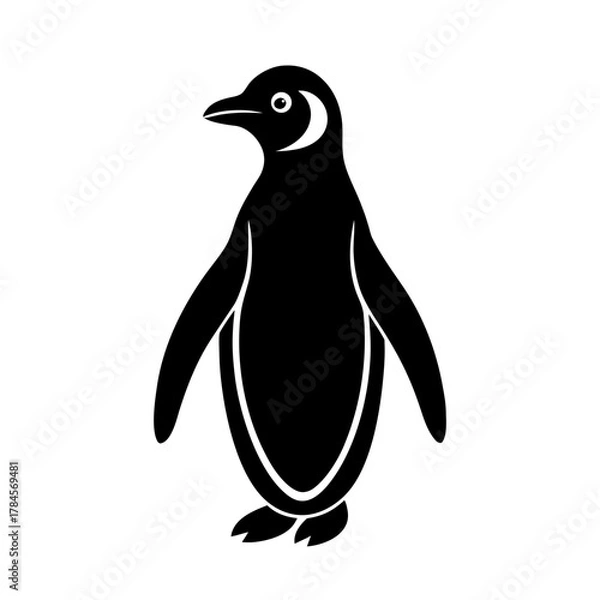 Fototapeta penguin vector illustration