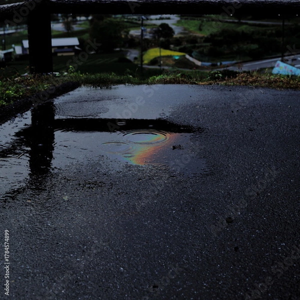 Obraz 岐阜県池田町の水たまりの中に見える虹