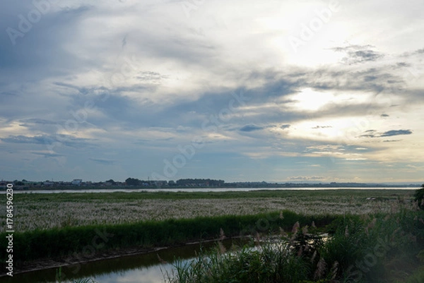 Fototapeta Mekong River wetlands and distant cityscape under cloudy sky, Vientiane, Laos