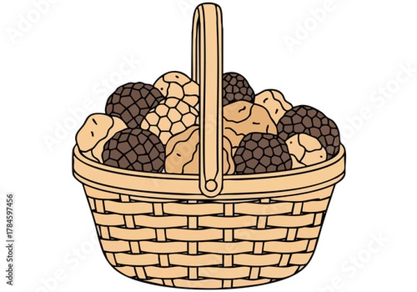 Fototapeta A stylish wicker basket overflows with luxurious truffles.  Modern, minimalist illustration. Perfect for food, luxury, or gift concepts.