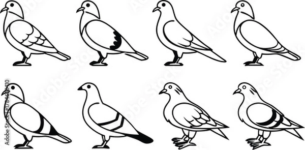 Fototapeta Set of eight pigeon birds vector illustration. Collection of dove line art icons