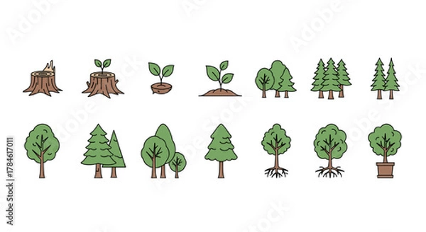 Fototapeta Collection of stylized cartoon tree icons representing different stages of growth and types, including stumps, saplings, mature deciduous and coniferous trees, and a potted plant, set against a clean