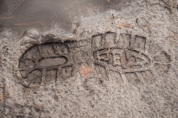 Fototapeta Footprint of a shoe in the mud