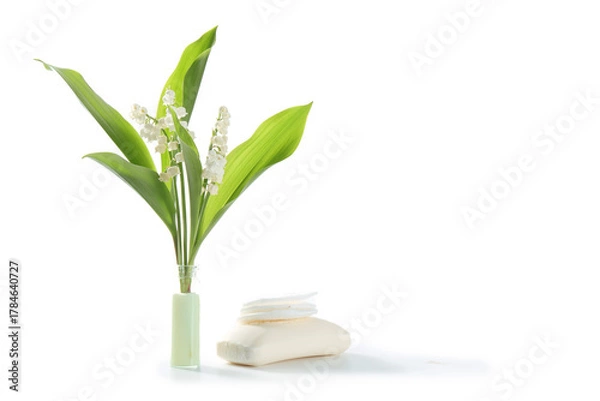 Obraz fleur de muguet, spa