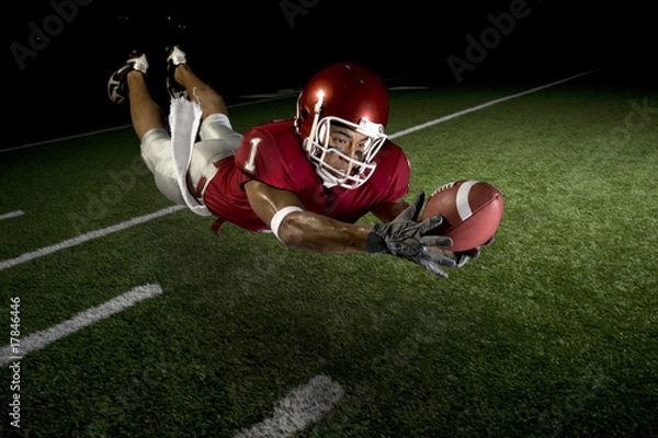 Obraz Wide Receiver Making a Diving Catch