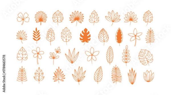 Fototapeta A collection of tropical leaves, with plants standing out against a white background. A large assortment of cute doodle floral icons, featuring flowers, all drawn in black with thin lines.